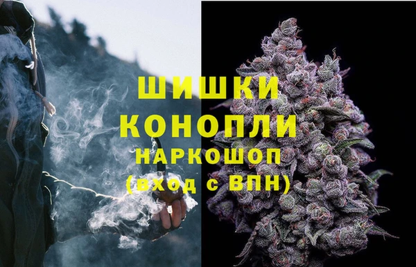 сатива Козельск