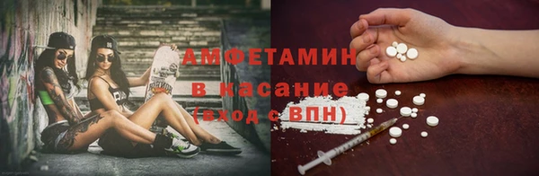 сатива Козельск