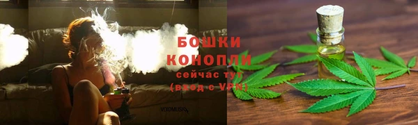 мяу мяу мука Коряжма