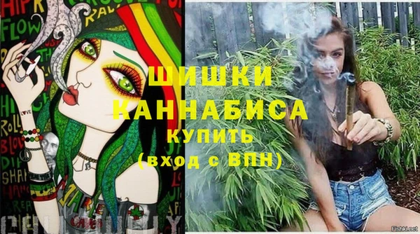 сатива Козельск
