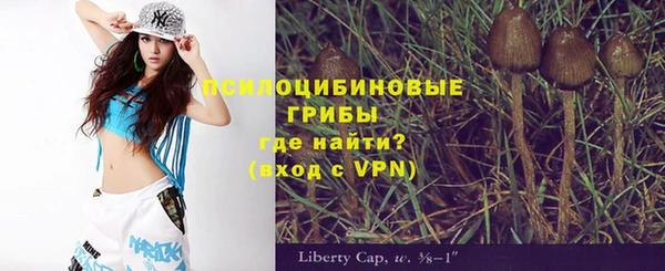 сатива Козельск