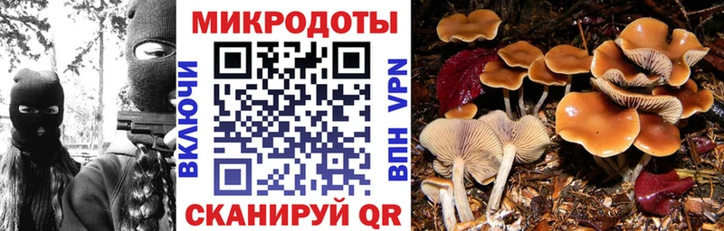 Галлюциногенные грибы прущие грибы  Купить закладки  Короча 